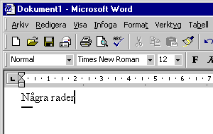 Några rader i Microsoft Word